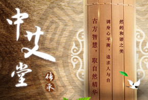 北京中艾堂中医药科技发展有限公司