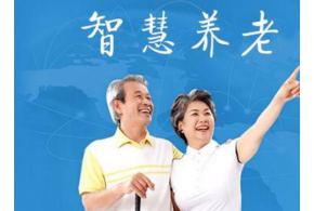 重庆宏善养老产业有限公司